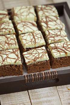 Mint Chocolate Slices